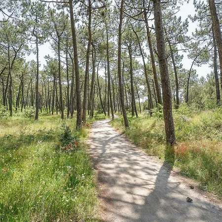 Awesome In Dom wakacyjny