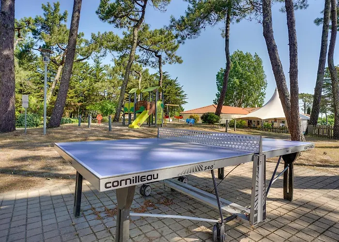 Awesome In La Faute-sur-Mer